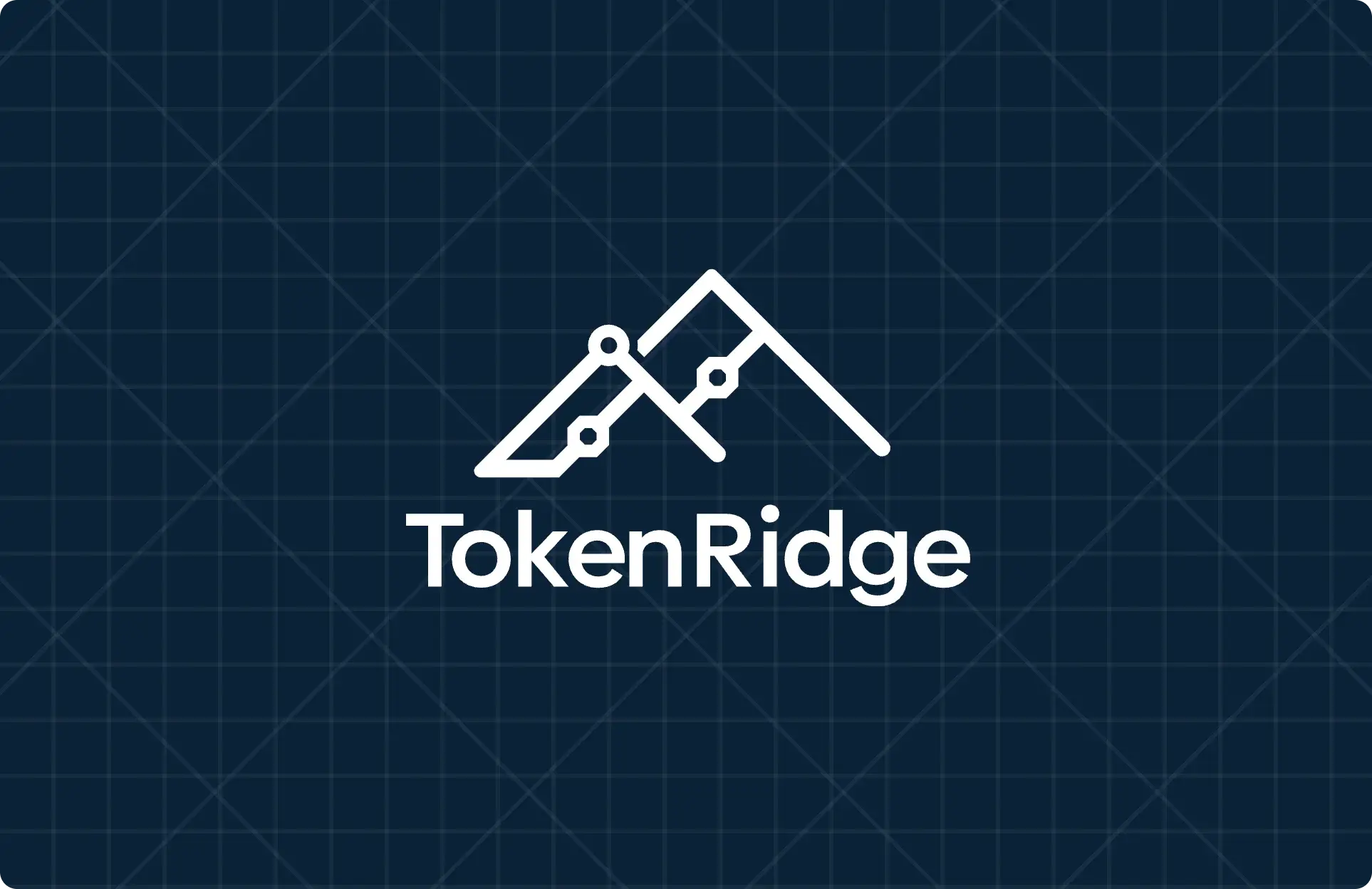 The TokenRidge logo, a ridge of connected nodes over the wordmark, in white on a navy card with a faint grid