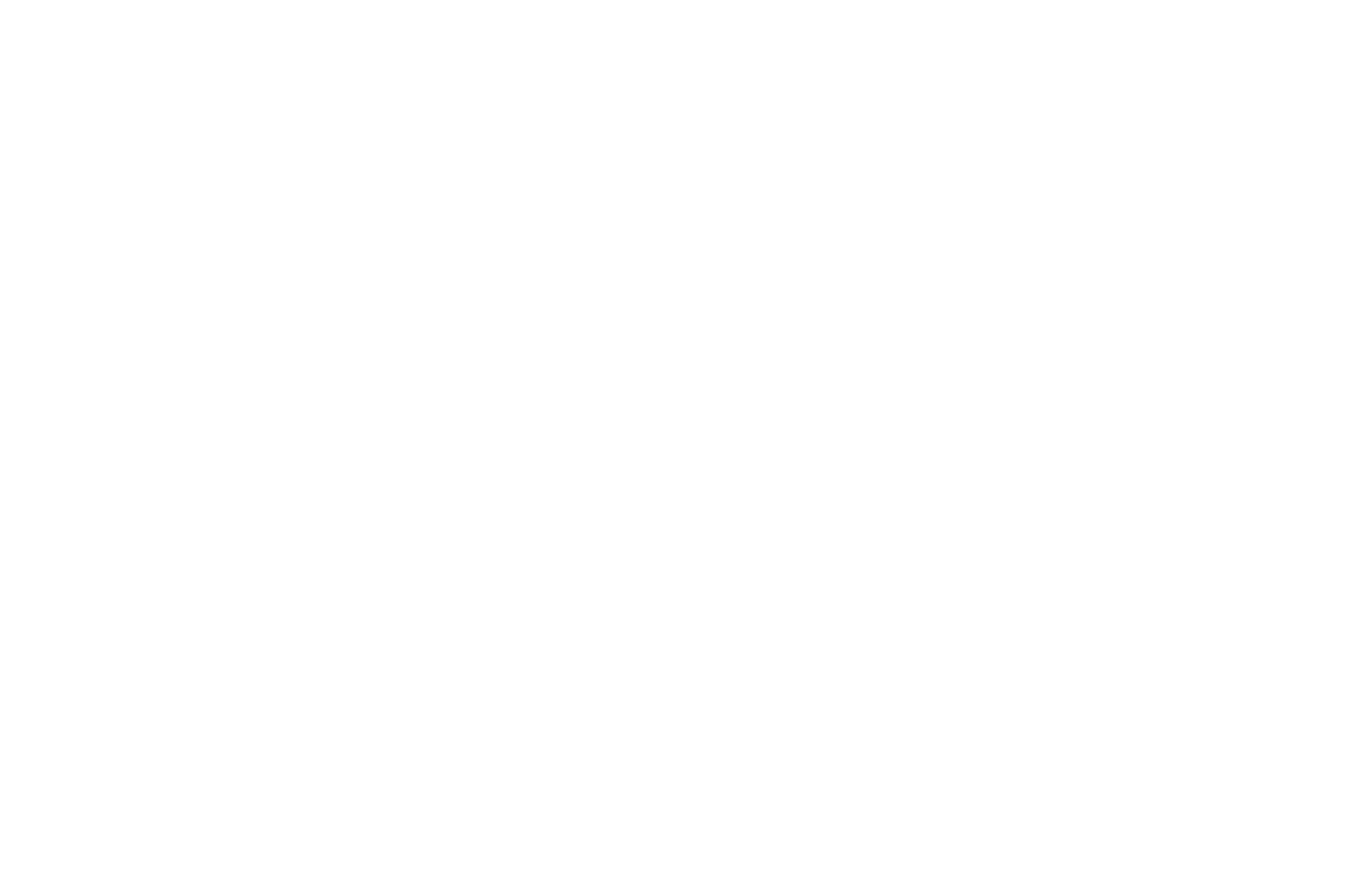The logo in white